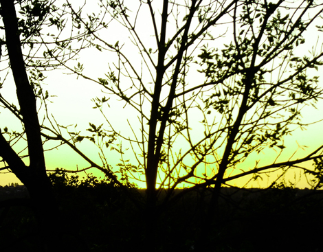 dsc08578_mod001.jpg