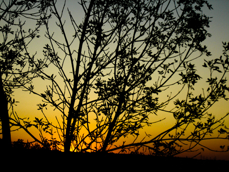 dsc08580.jpg