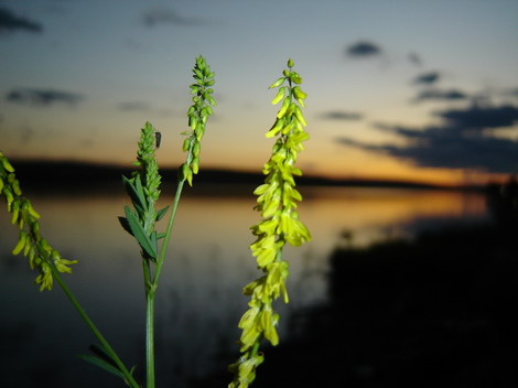 Sunset Photographs Falticeni Romania Lake