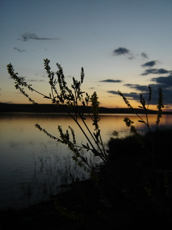 Sunset Photographs Falticeni Romania Lake