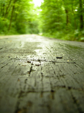 The Woods Photo Shooting #002