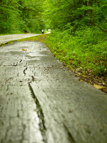 The Woods Photo Shooting #003