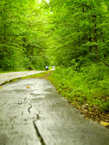 The Woods Photo Shooting #004