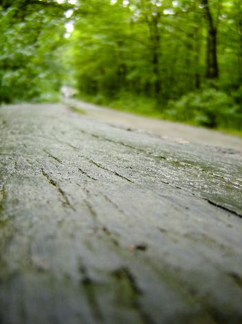 The Woods Photo Shooting #005