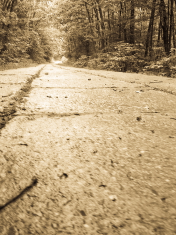 The Woods Photo Shooting #011