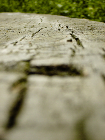 The Woods Photo Shooting #017