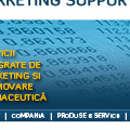 New Website Project - Marketing Support Web Site - graphic design in progress - thumb #4