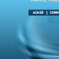 New Website Project - Marketing Support Web Site - graphic design in progress - thumb #9