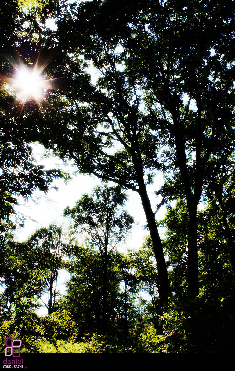 Daniel Condurachi Blog byCodDot Photo Image from Sunday Barbecue Photo Session with Emil near Comarna in Iasi district