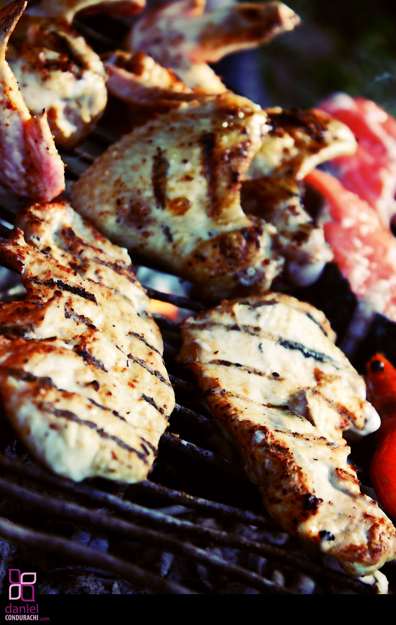 Daniel Condurachi Blog byCodDot Photo Image from Sunday Barbecue Photo Session with Emil near Comarna in Iasi district