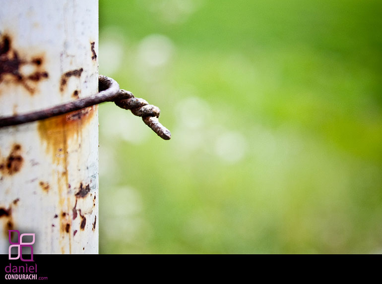 Photo Image of Iron Wire on a Post Photo Daniel Condurachi blog bycoddot phototgraphy 